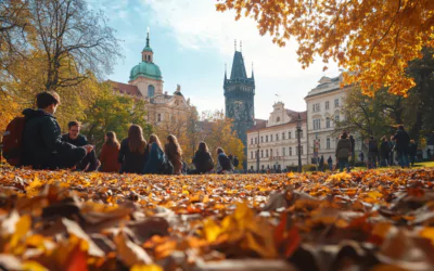 Как получить обратную связь от преподавателей в International Education in Prague